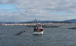 Turismo marinero