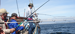 Jornadas de pesca